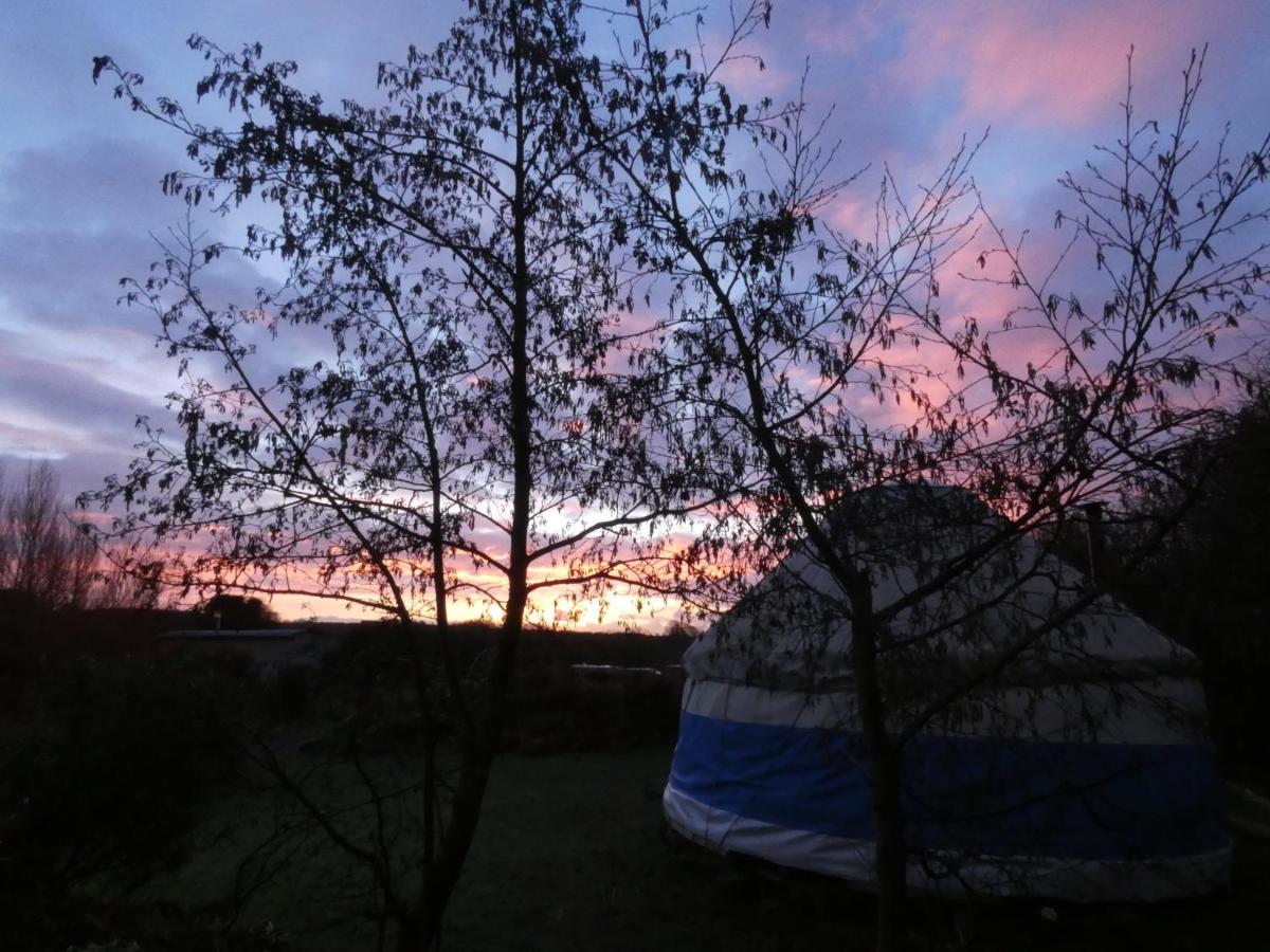 Inch Hideaway Eco Camping Whitegate  外观 照片
