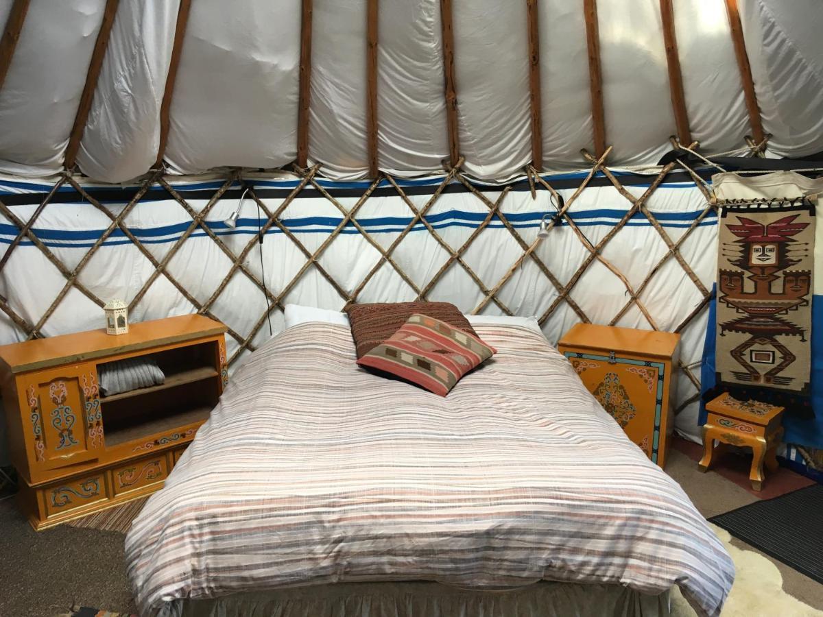Inch Hideaway Eco Camping Whitegate  外观 照片