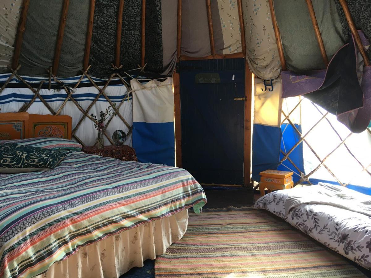 Inch Hideaway Eco Camping Whitegate  外观 照片