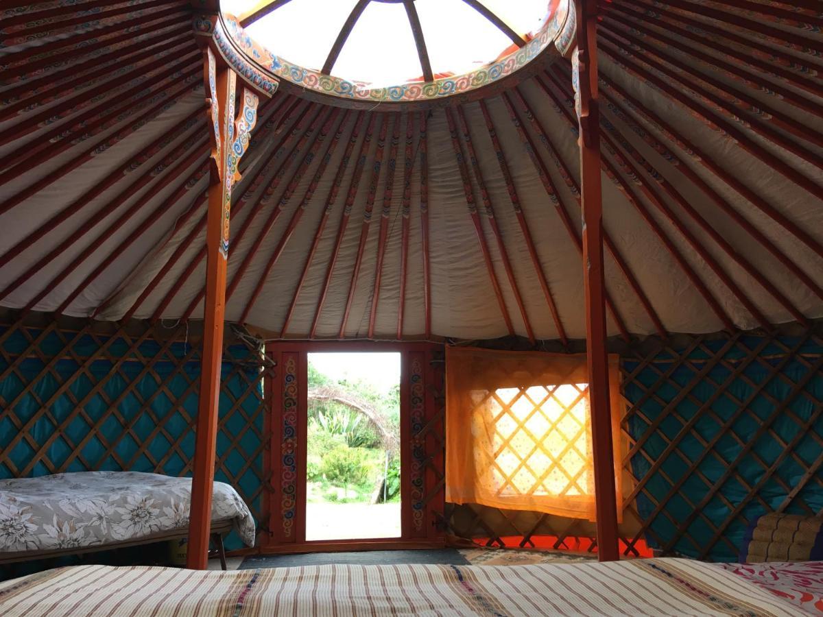 Inch Hideaway Eco Camping Whitegate  外观 照片