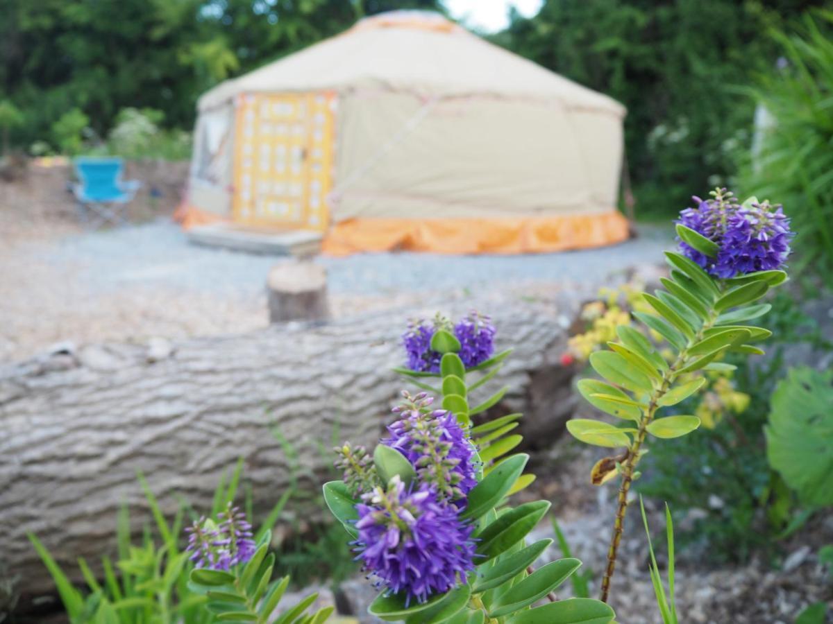 Inch Hideaway Eco Camping Whitegate  外观 照片