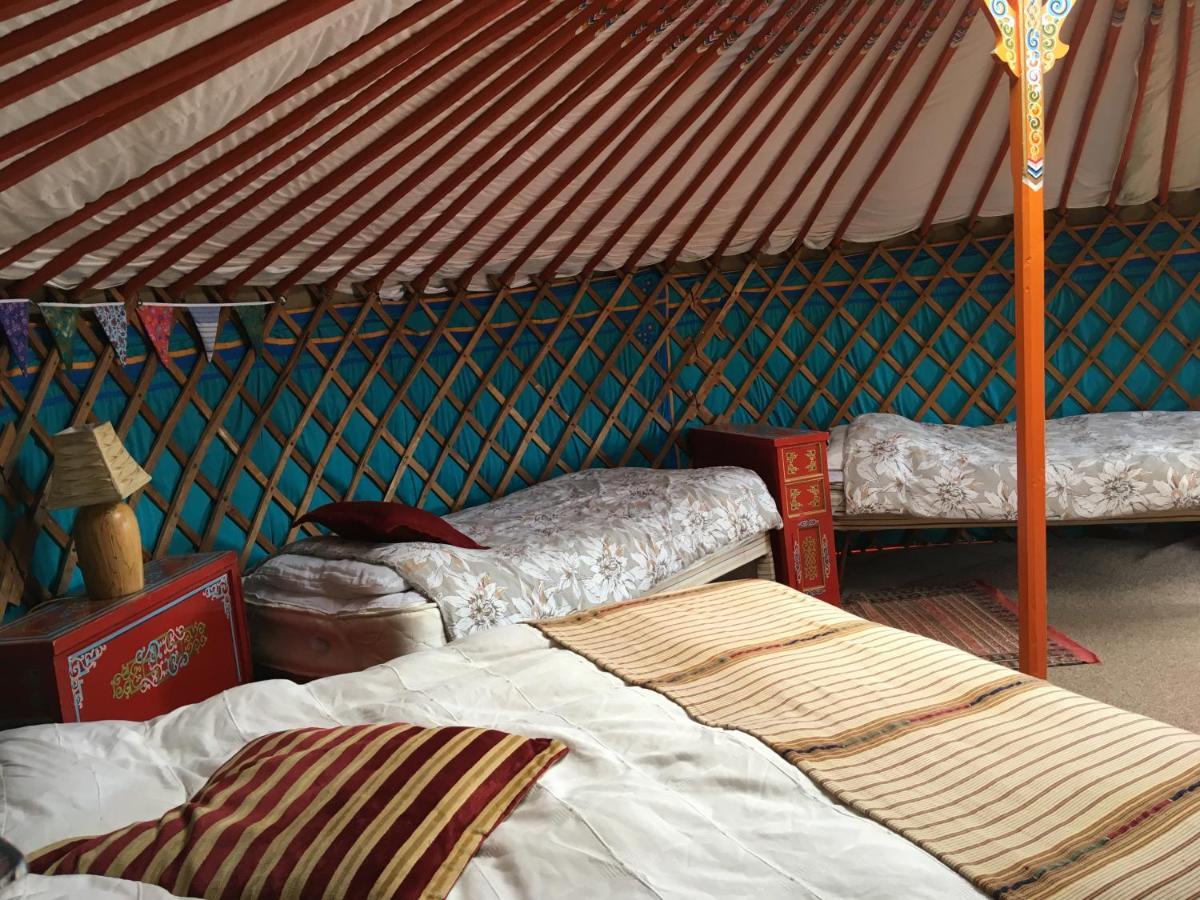 Inch Hideaway Eco Camping Whitegate  外观 照片